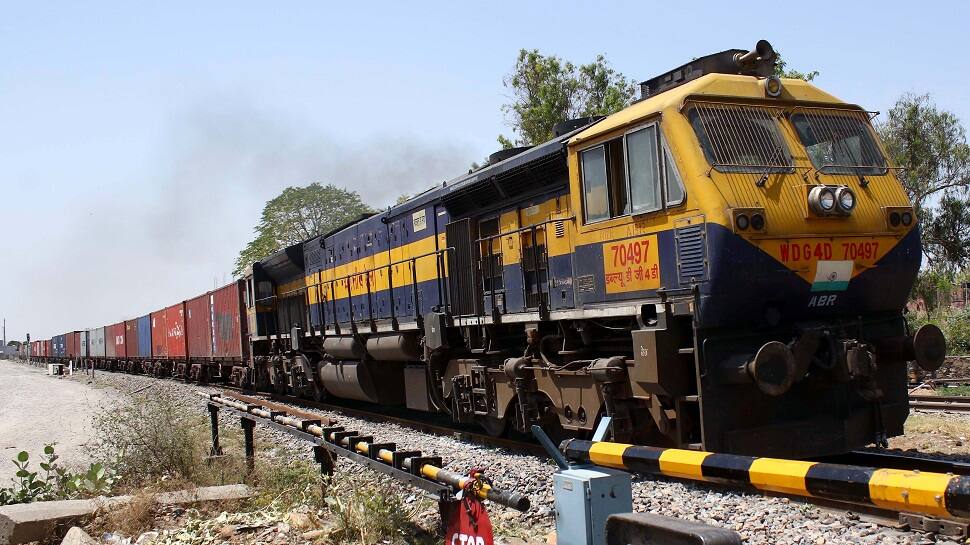 Gujarat: Asiatic Lion Killed After Getting Hit By Goods Train, Another Injured