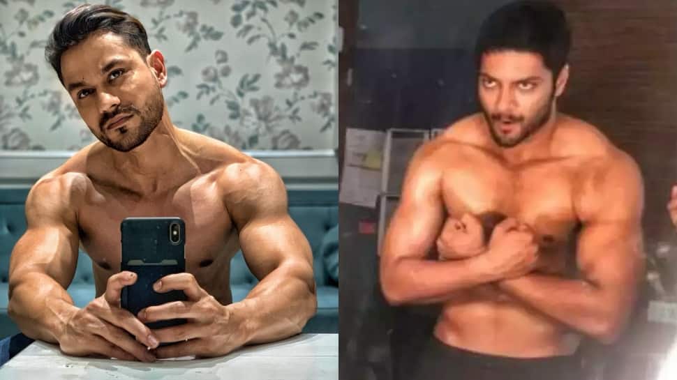 Kunal Kemmu To Ali Fazal: Bollywood Actors Who Are Serving Major Motivation With Their Gym Routines
