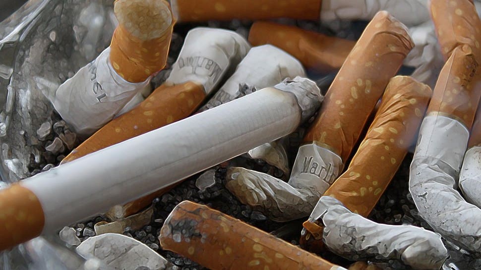 If Tobacco Can’t Be Removed From The Population, Could Combustion Be, Experts Deliberate