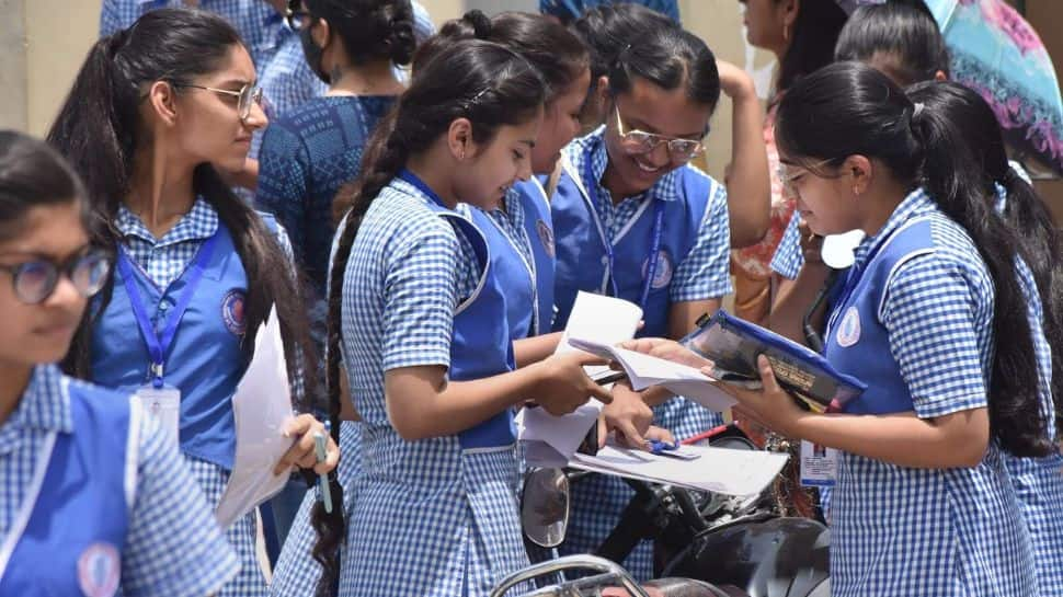 TN HSE +2 Result 2023: Tamil Nadu Board Class 12th Supplementary Result 2023 To Be Declared Today At dge.tn.gov.in- Check Time, Steps To Download Scorecard Here