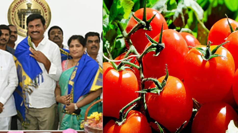 Tomato Crorepati: THIS 10th Fail Farmer Hits Jackpot, Becomes Crorepati Overnight, Skyrocketing Price Of Tomatoes Does It All