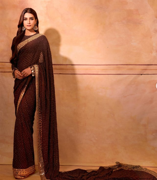 Embellished chocolate brown Saree 