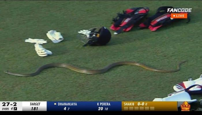 Watch: Snake Spotted During LPL Match, Dinesh Karthik&#039;s Hilarious Tweet Goes Viral