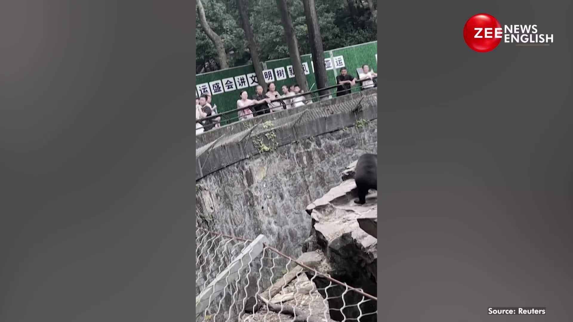 Malayan Sun Bear or 'Human In Disguise'?, China Zoo Trolled For
