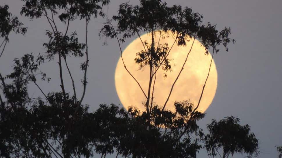 Rare Double Supermoons And Bluemoon In August 2023: How To Watch Supermoon In India Tonight