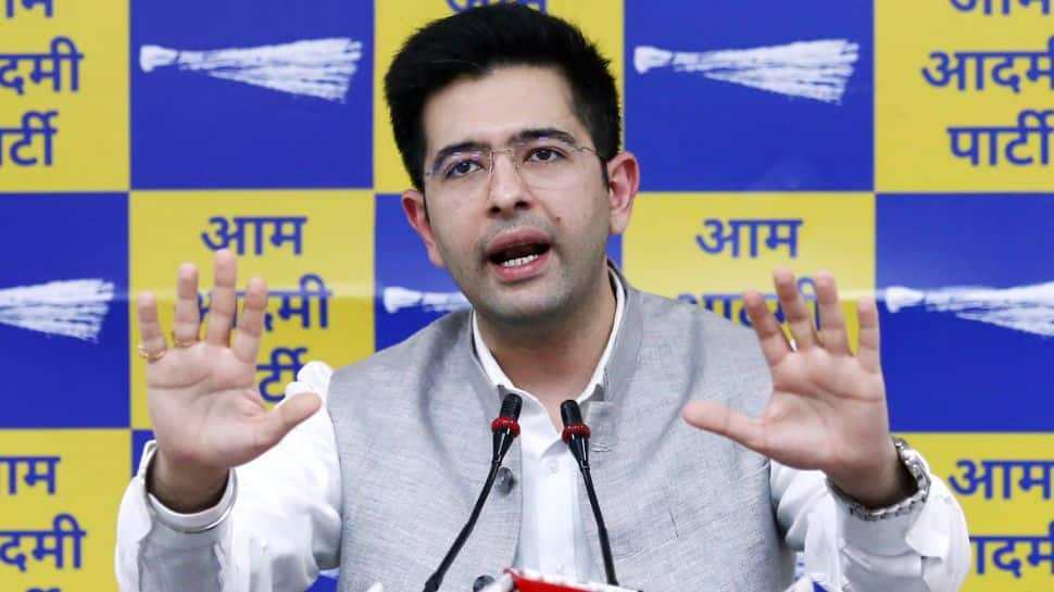 Bill To Replace Delhi Services Ordinance Will Change Democracy Into &#039;Babucracy&#039;: AAP MP Raghav Chadha