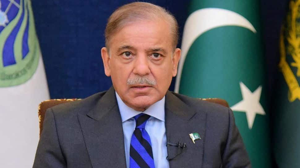 &#039;War No More An Option&#039;: Pakistan PM Shehbaz Sharif Says Ready To Hold Talks With India
