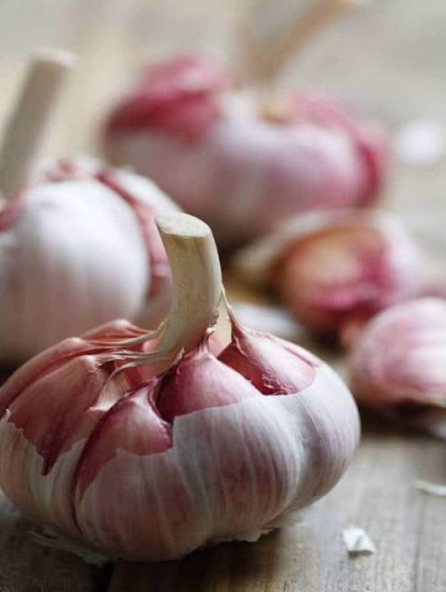 2,000+ Free Bawang Putih & Garlic Images - Pixabay