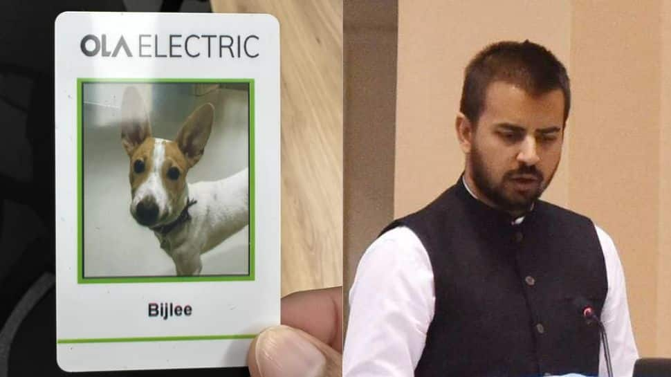 Ola CEO Sets New Trend! Hires Dog As An Employee - Netizen&#039;s Reaction Will Warm Your Heart