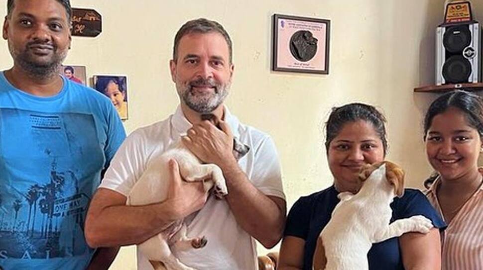 Rahul Gandhi Gets A New Furry Friend From Goa