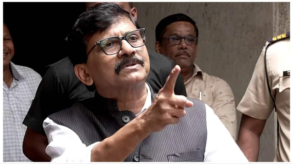 Sanjay Raut Dubs Delhi Sevices Bill &#039;Attack On Federal Structure Of India&#039;