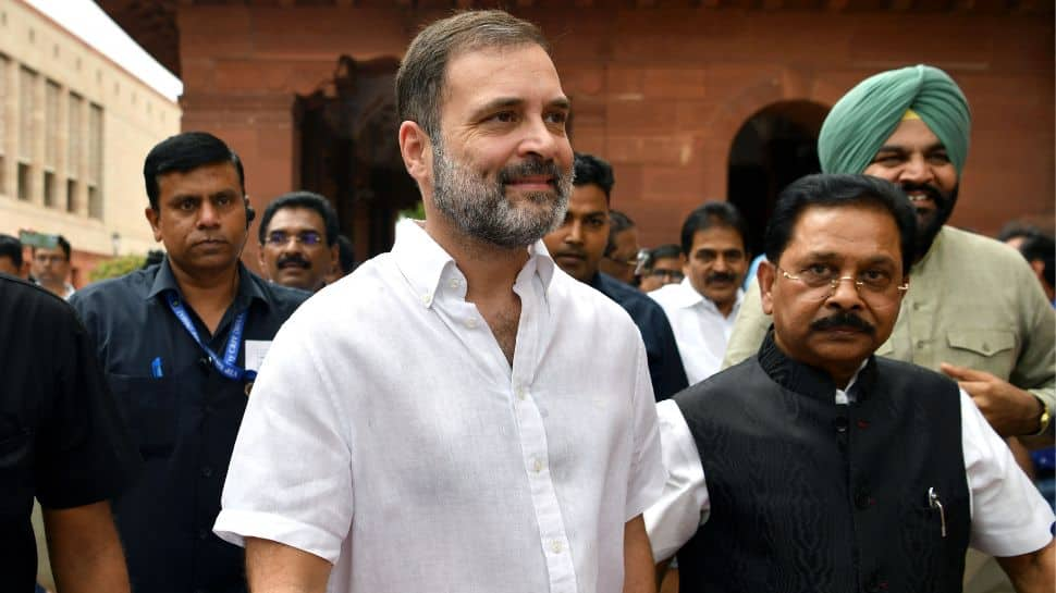 Watch: Rahul Gandhi Returns To Parliament After Getting Back Lok Sabha MP Status