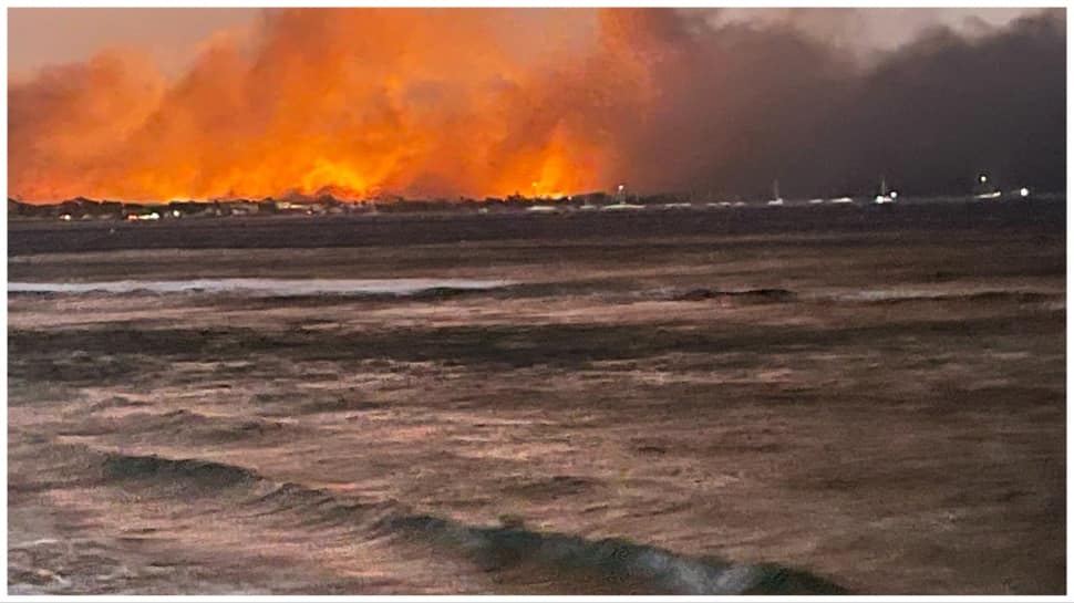 Incendies de forêt à Hawaï : le nombre de morts grimpe à 67 dans l’État insulaire américain |  Nouvelles du monde