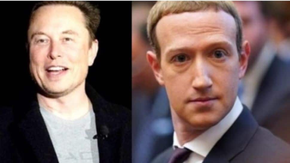 Read more about the article Not Holding My Breath For Musk: Zuckerberg On Cage Fight In Italy