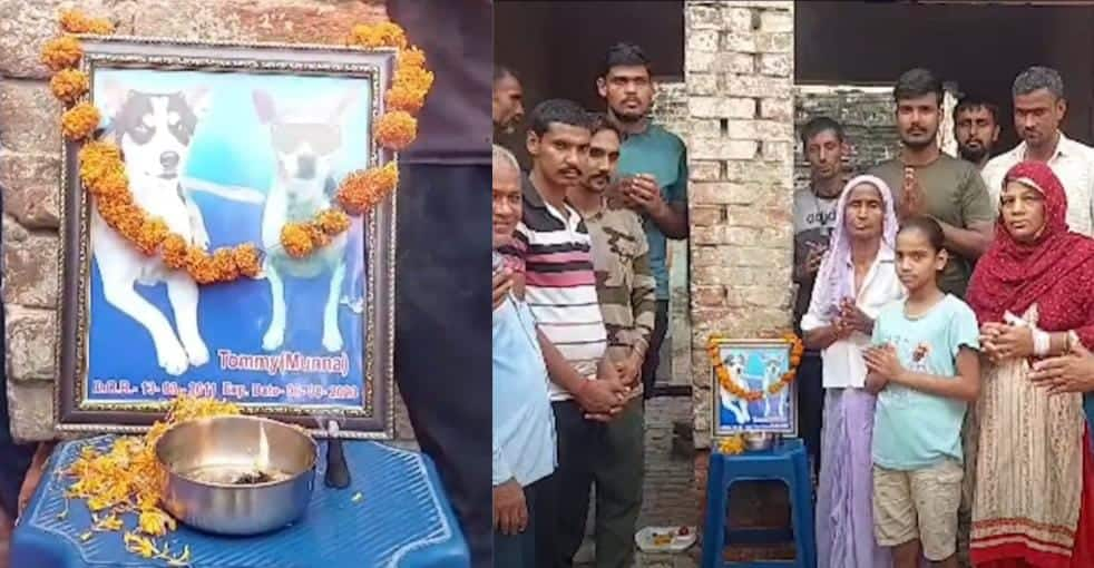 Heartfelt &#039;Brahmabhoj&#039; Ceremony In Uttar Pradesh Village  to Remember and Honor Beloved Dog Companion