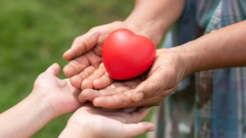World Organ Donation Day 2023: Why Does India Have Less Donors? Expert Explains The Demand-Supply Gap In Organ Donations