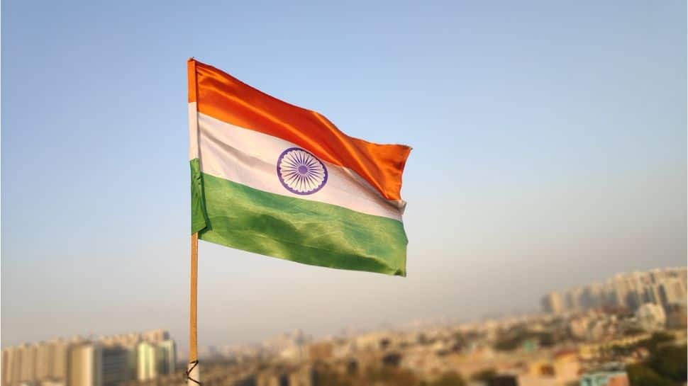 Har Ghar Tiranga: How To Create Best Tiranga DP This Independence Day? Heres Step-By-Step Guide