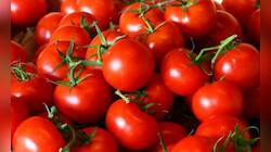 Govt To Sell Tomatoes At Rs 50 Per Kg In Delhi-NCR From Tomorrow