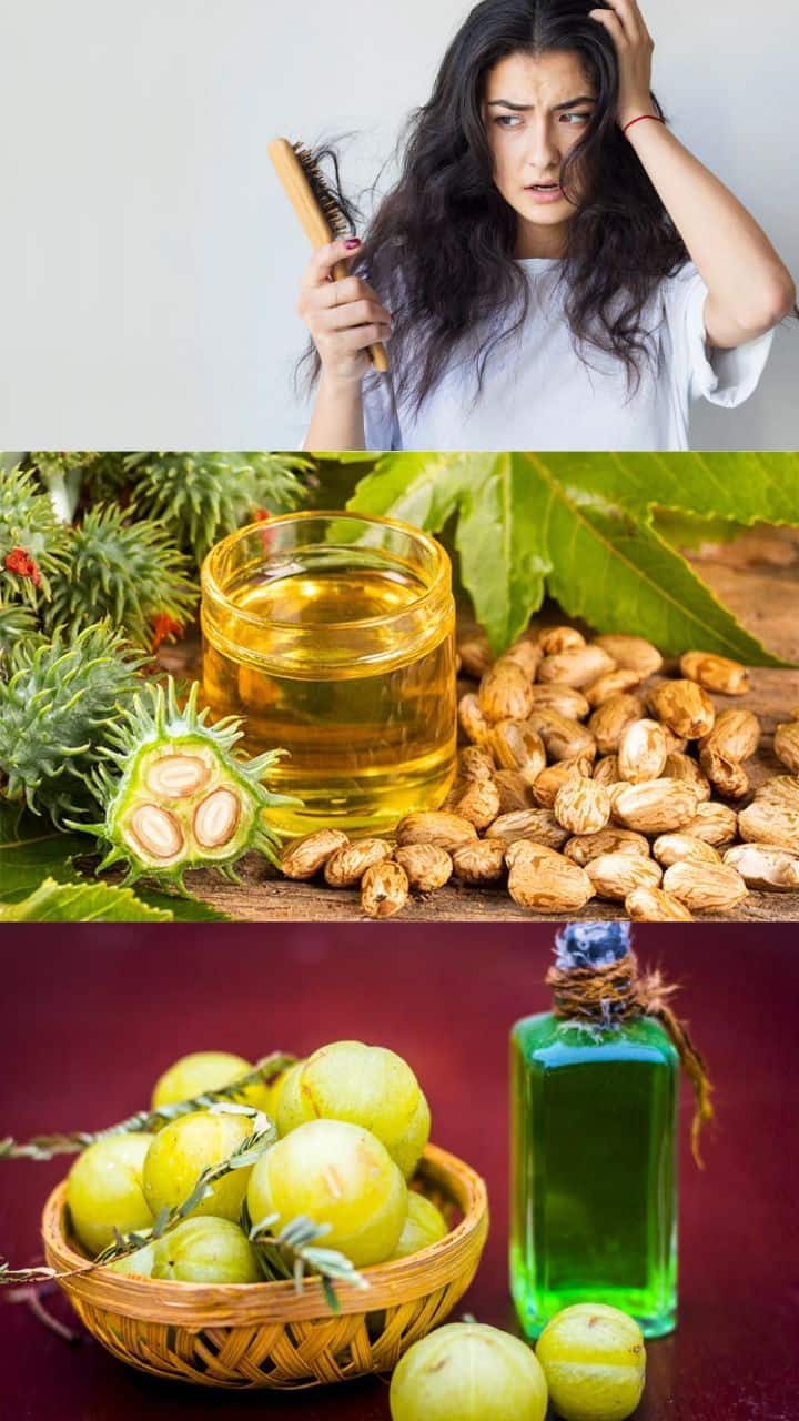 Share more than 150 ayurvedic oil for hair growth dedaotaonec