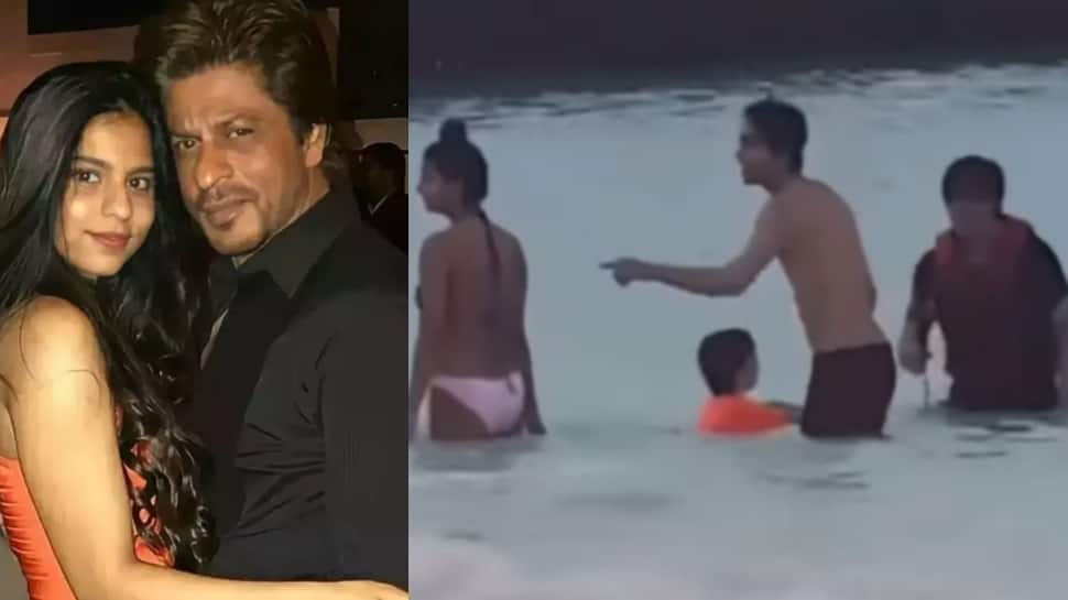 Shah Rukh Fans School Netizen For Trolling Him Over Dip In Sea With Daughter Suhana In Bikini