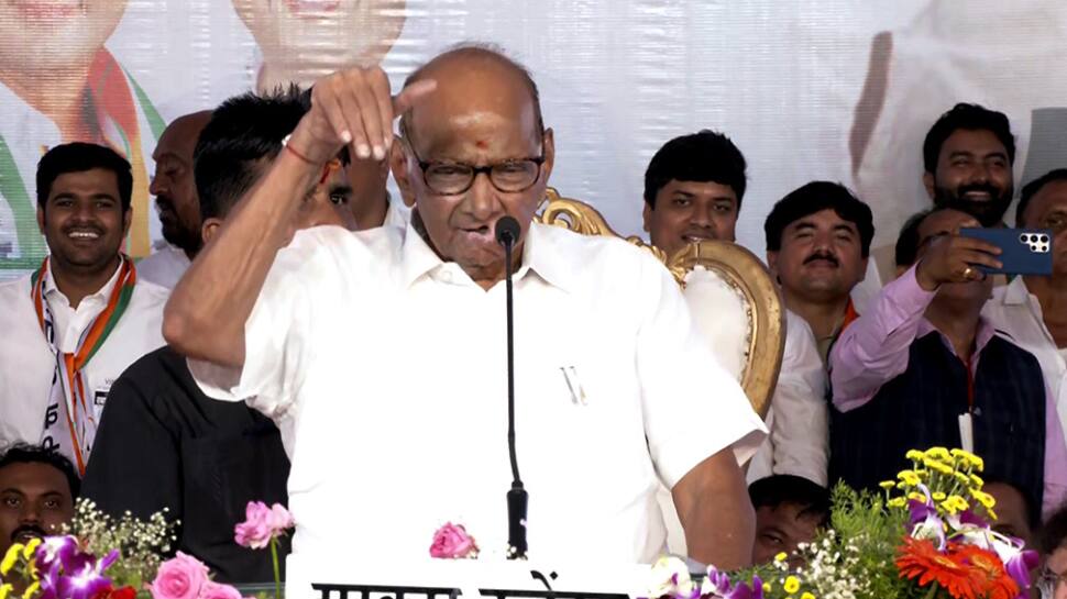  &#039;I Am The Boss...&#039; Sharad Pawar Denies NCP Split Day After Political Row