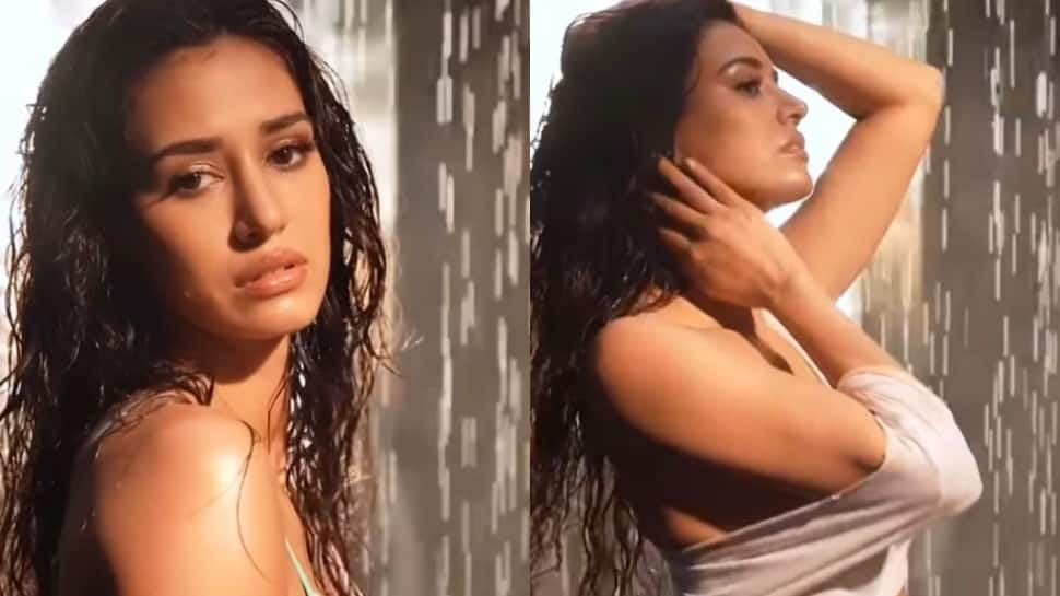 Disha Patani Drops Steamy Video In Printed Bikini, Actress&#039; Wet-Look Leaves Fans Gasping For Breath - Watch 