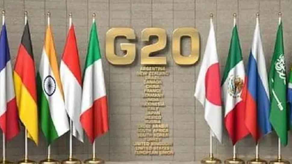 G20 Summit: 50 Ambulances For Emergency Response; 6.75 Lakh Flower Pots To Adorn Delhi Roads