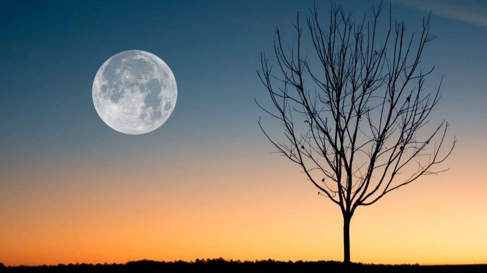 Super Blue Moon ce soir : quand, où et comment regarder un événement céleste rare |  Nouvelles de l’Inde