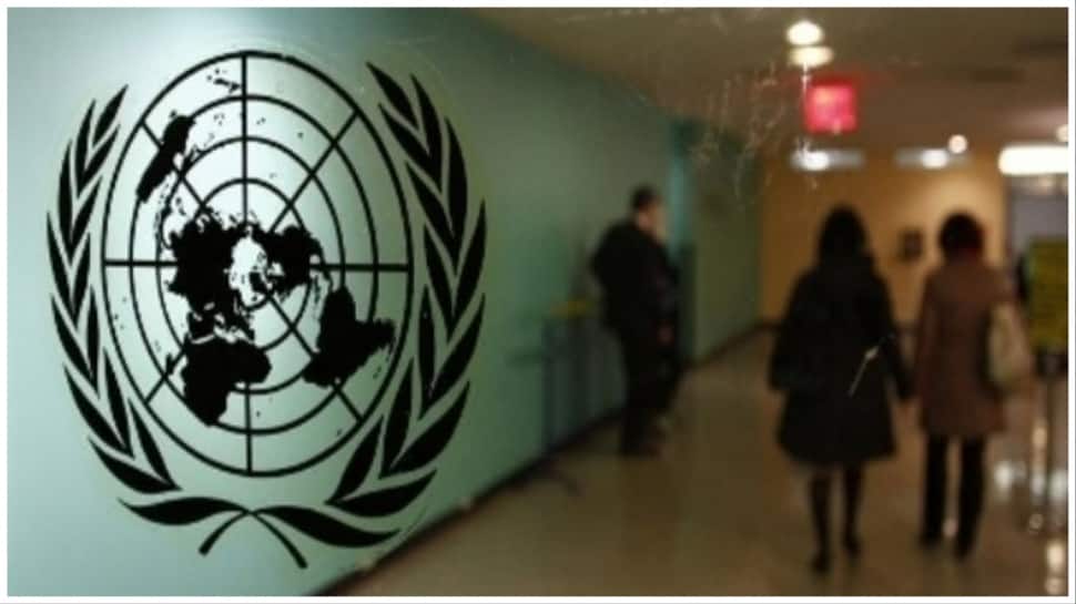La Russie oppose son veto à la résolution du Conseil de sécurité de l’ONU sur les sanctions contre le Mali |  Nouvelles du monde