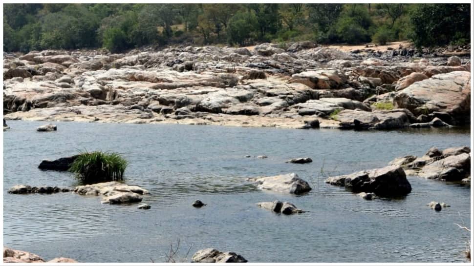 Cauvery Dispute: Farmers Continue Protest As Karnataka Releases More Water To Tamil Nadu