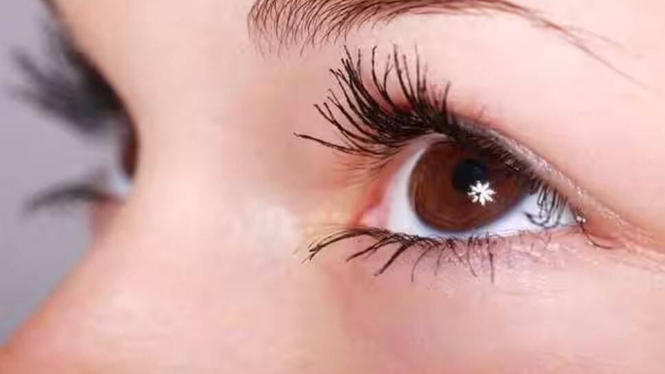 Eye Health: Diabetes Can Build Up Cholesterol In Retina, Affecting Vision - Claims Study 