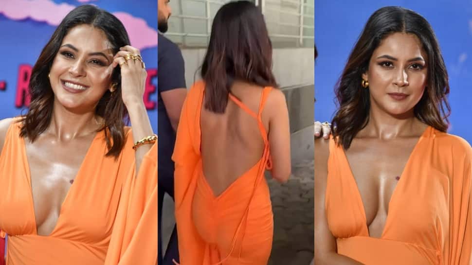 Shehnaaz Gill Grabs Eyeballs In Backless Gown With Plunging Neckline, Fans Are Stunned: Watch