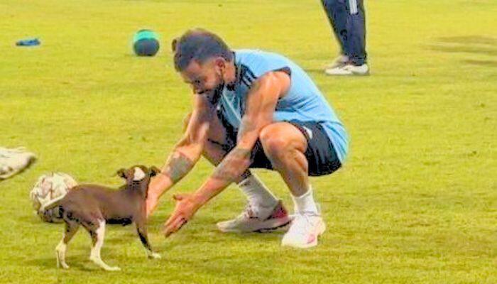 Watch: Virat Kohli Playing With Dog During Team India&#039;s Practise Session Ahead Of India vs Pakistan Game In Asia Cup 2023 Super 4s, Video Goes Viral