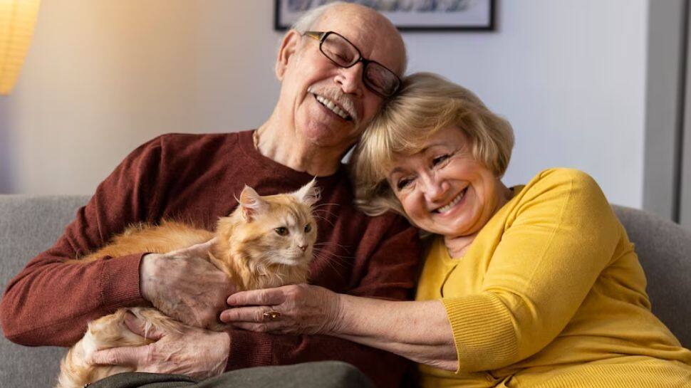 Get Pets For Companionship