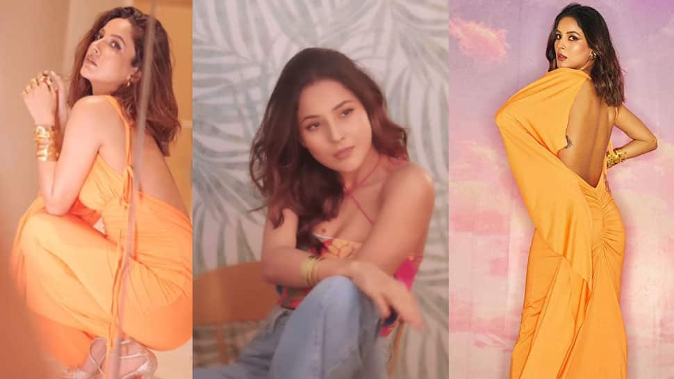 Shehnaaz Gill&#039;s Sultry Videos In Plunging Neckline, Halter Top Prove She&#039;s Transformed Into A Glam Doll - Watch
