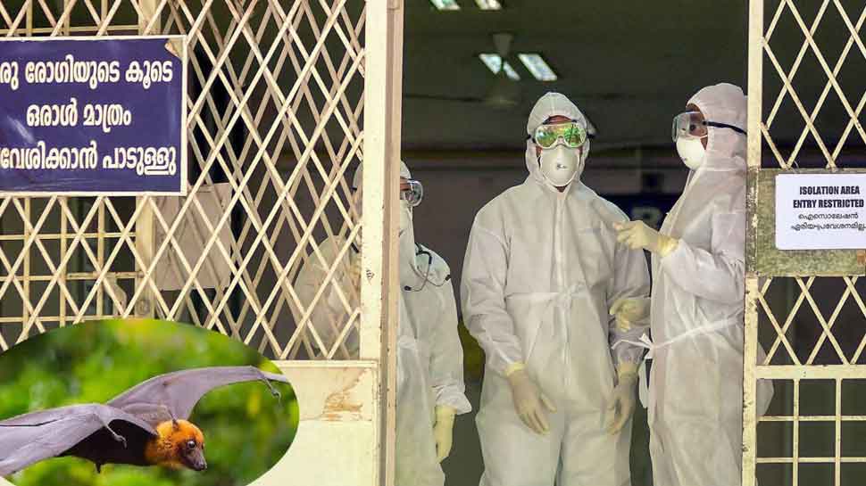 Two Deaths In Kerala Due To Nipah Virus; Monitoring Situation Seriously, Says CM Vijayan