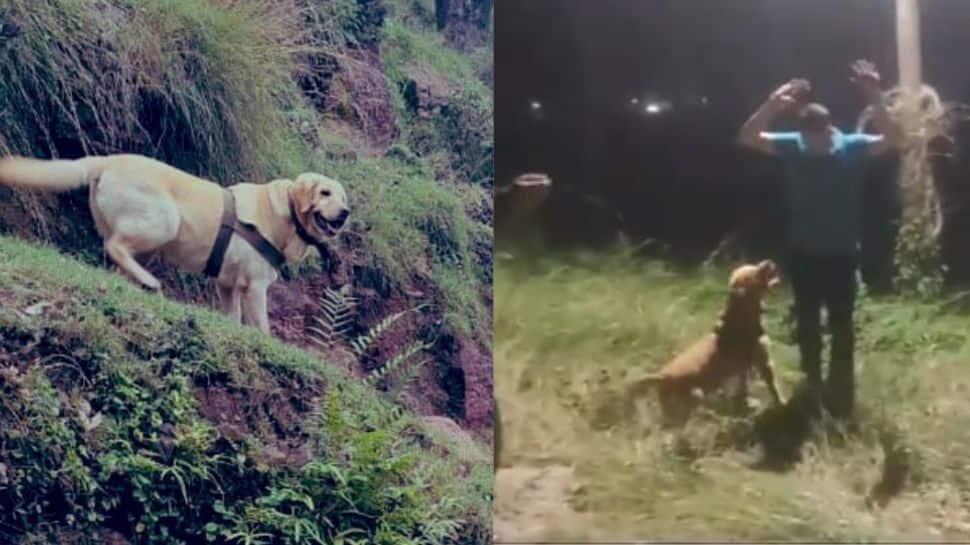 Indian Army Dog Martyred Fighting Terrorists In J&amp;K, Leaves Netizens In Tears - WATCH VIDEO