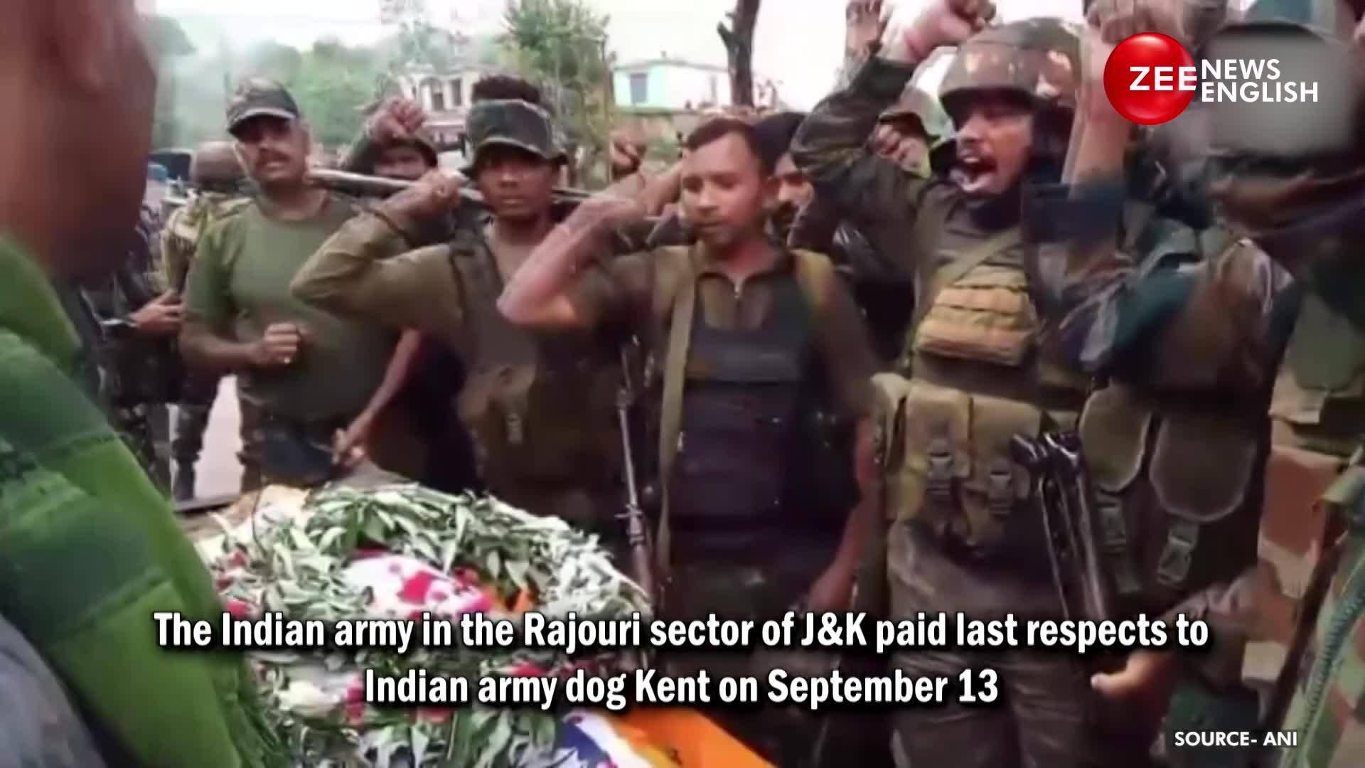 Indian Army Pays Last Respects To Indian Army Dog Kent Who Laid Down ...