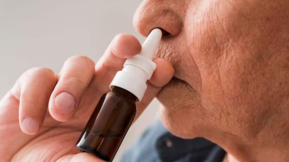 Nasal Immunotherapy Can Soon Help Treat Alzheimer&#039;s Disease, Claims Study