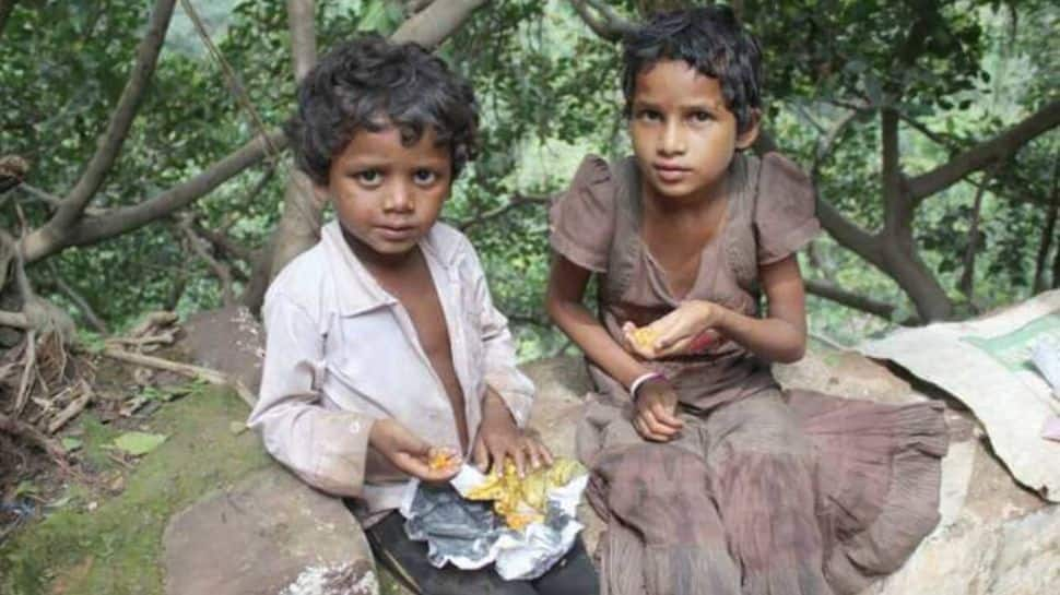 Malnutrition Early In Life May Cause Poor Growth, Death: Study 