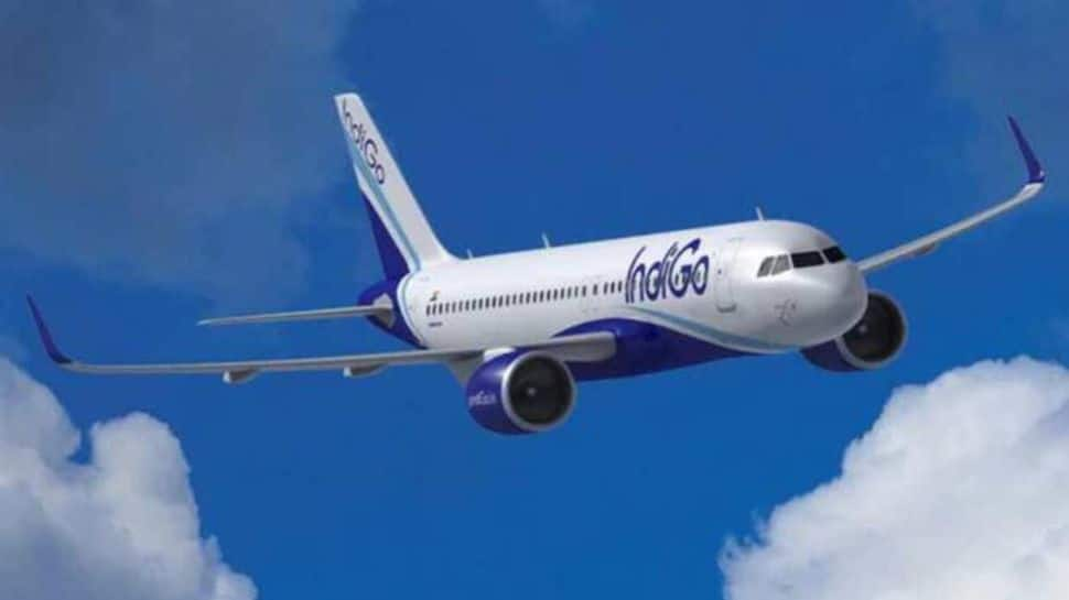 IndiGo Lucknow-Abu Dhabi Flight Makes Emergency Landing At Delhi Airport