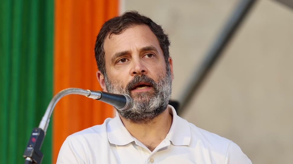 Make Public Caste Census Data; OBCs Should Get Their Dues: Rahul Gandhi