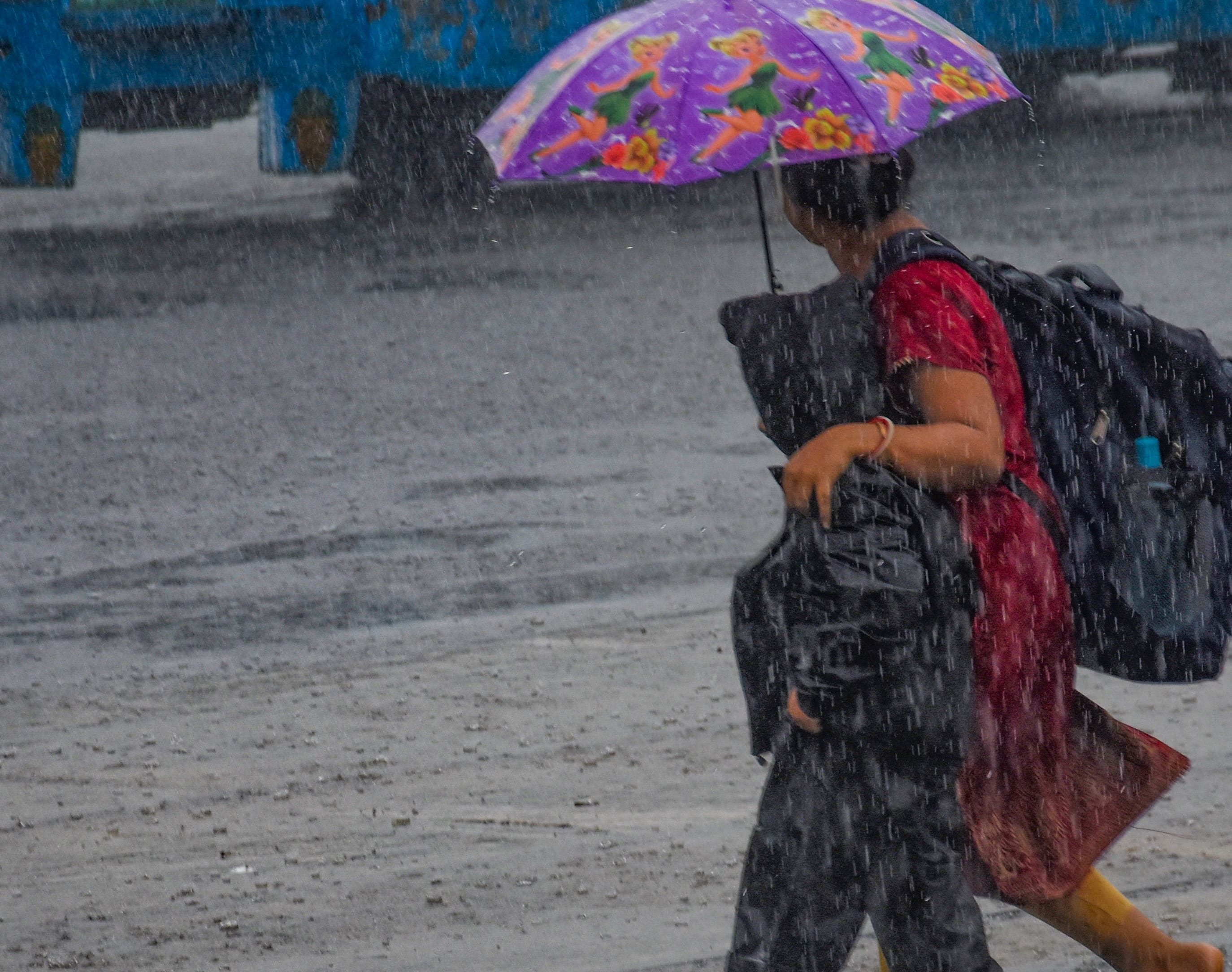 Weather Update: IMD Predicts Heavy Rainfall In Madhya Pradesh, Bihar ...