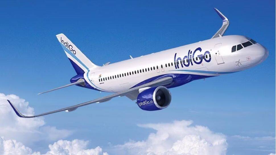 IndiGo Passenger Tries To Open Emergency Exit Door On Bengaluru-Bound Flight, Arrested