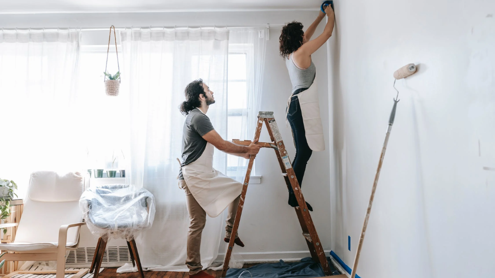 Eco Friendly Home Renovations: 5 Key Facts To Keep In Mind For Long Lasting Decor Effect Eco Friendly Home Renovations: 5 Key Facts To Keep In Mind For Long Lasting Decor Effect