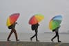 IMD Predicts Heavy Rainfall In Tamil Nadu, Puducherry