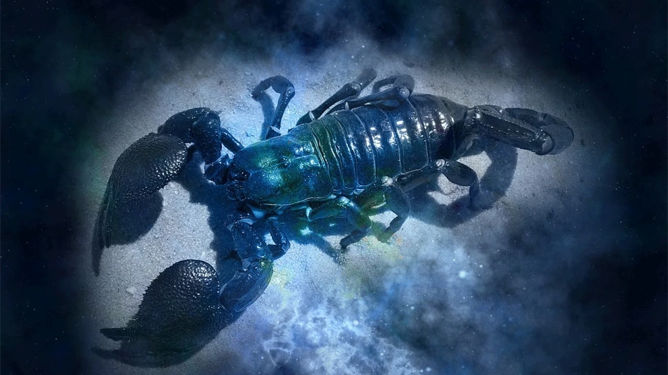 Horoscope Today, October 9 By Astro Sundeep Kochar: Taurus, The Moon Will Bless You With RichnessHoroscope Today, October 9 By Astro Sundeep Kochar: Taurus, The Moon Will Bless You With Richness