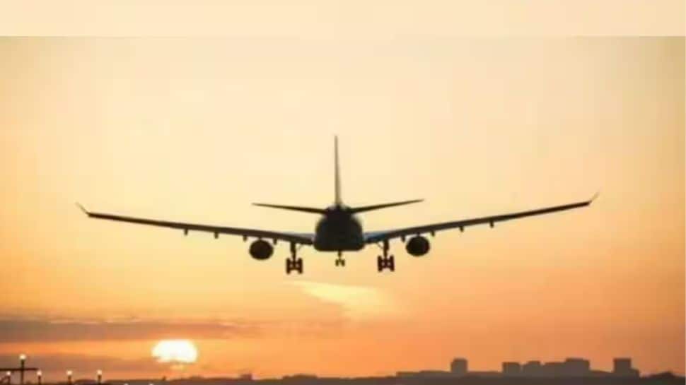 &#039;Hijack&#039; Threat! Hyderabad Airport Receives Email Targeting Dubai-Bound Air India Flight