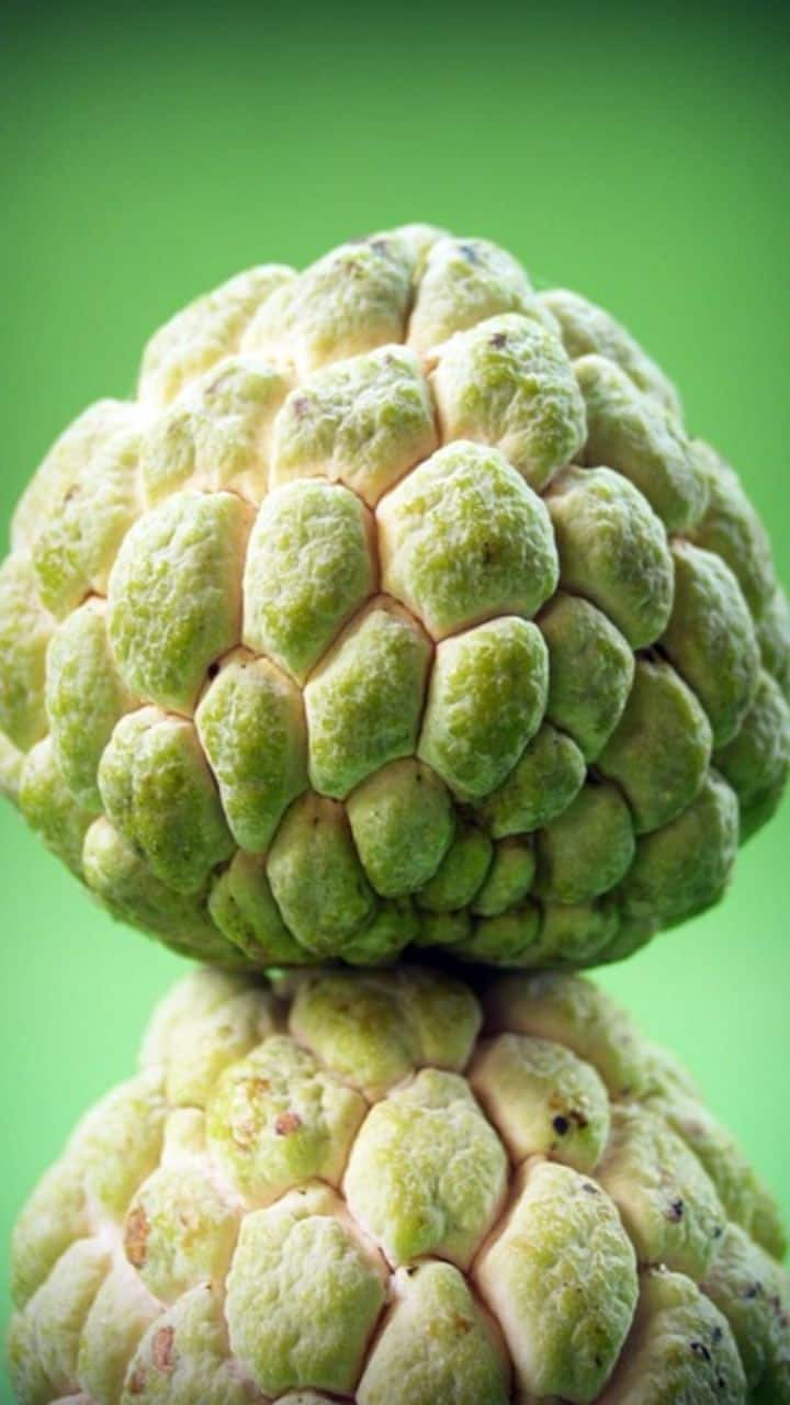 10 Stunning Health Benefits Of Sitafal (Custard Apple)