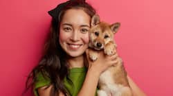 Pet Photography: Tips And Tricks For Capturing The Perfect Festive Moments